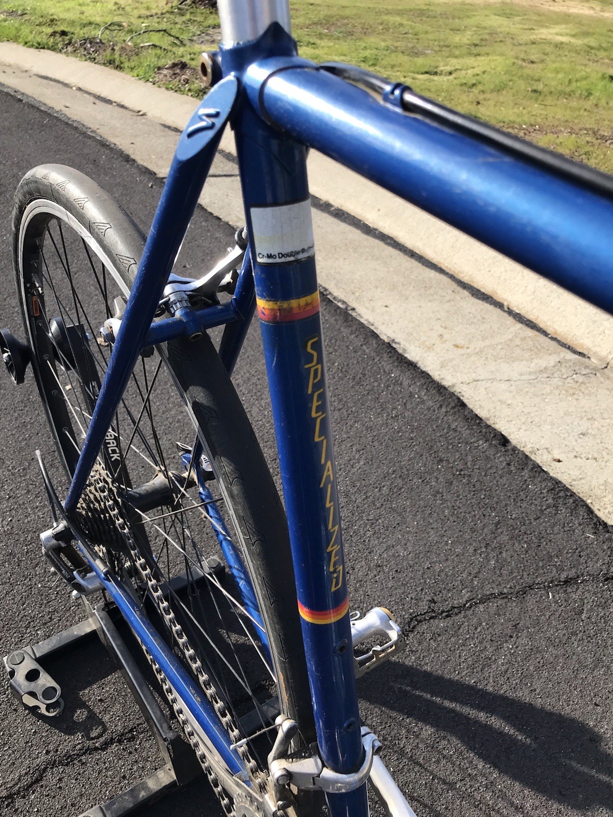 Vintage Specialized Allez SE Jim Merz Edition Lugged Steel Racing Bicycle Bike