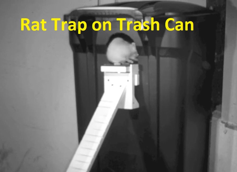 Walk The Plank Rat Trap - Rat & Squirrel - Plastic - Auto Reset - USA MADE