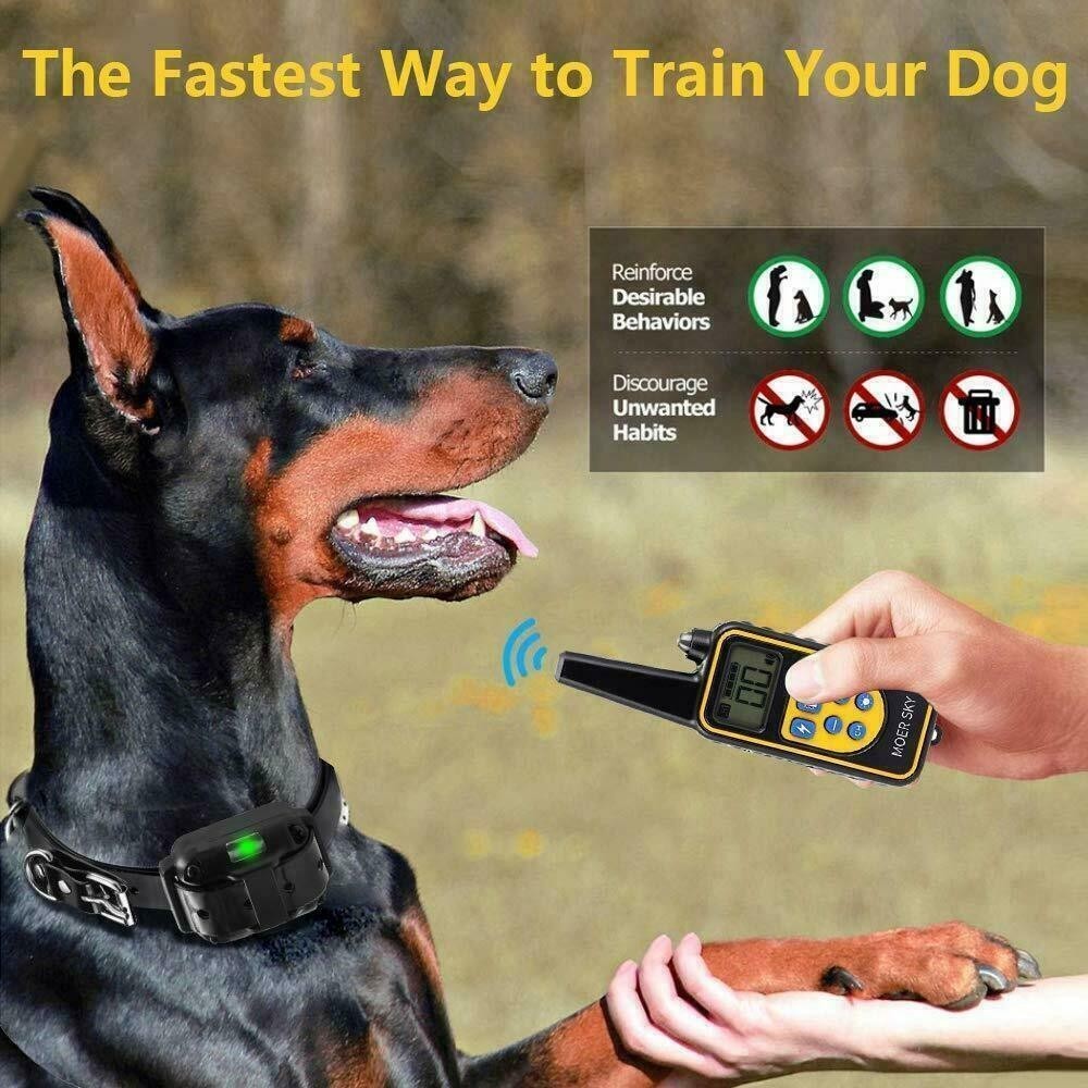 Dog Shock Training Collar Rechargeable Remote Control Waterproof IP67 875 Yards