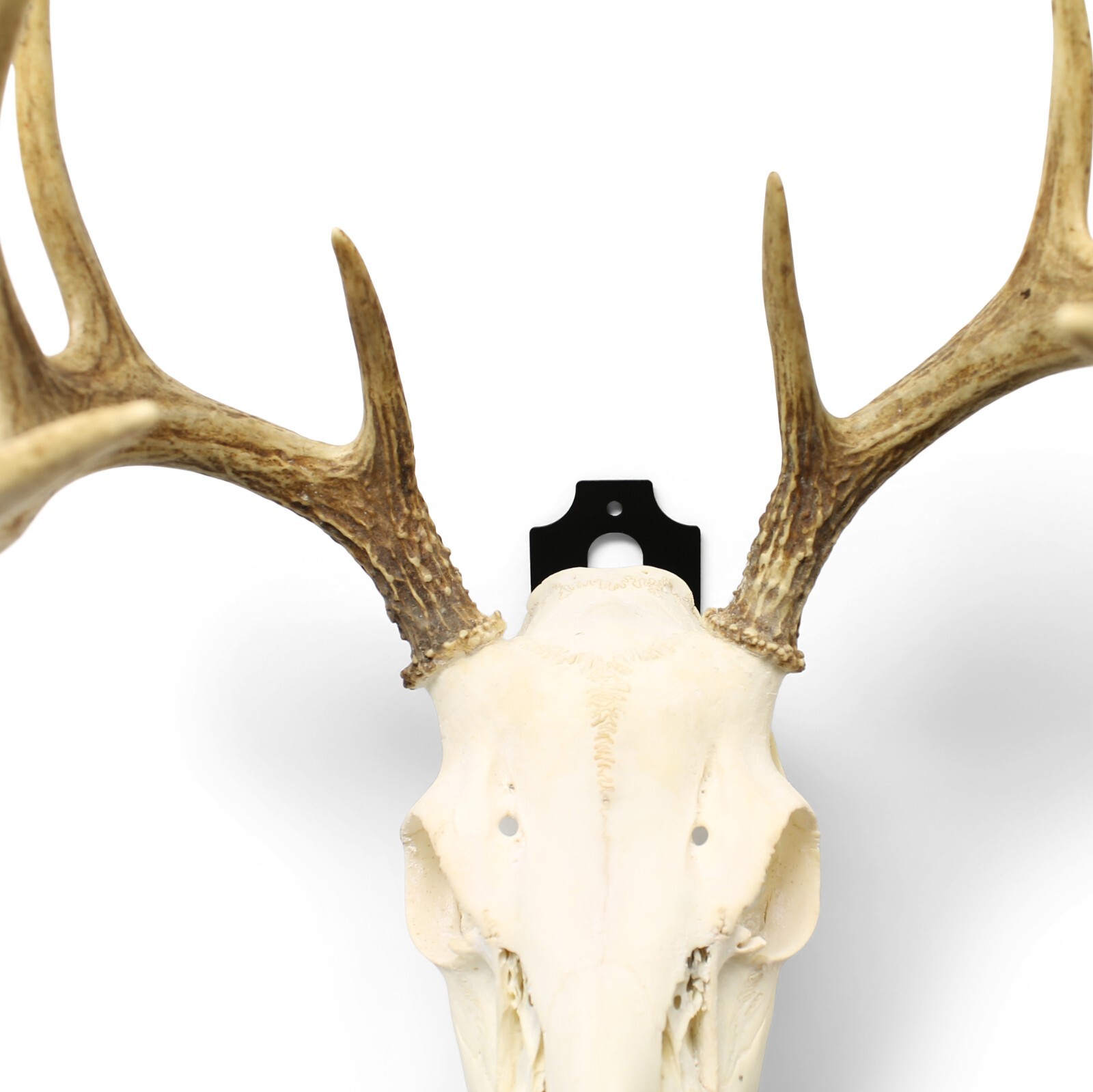 euro mount skull hanger MADE IN THE USA Euro Mount kit Whitetail Deer Skull Hook