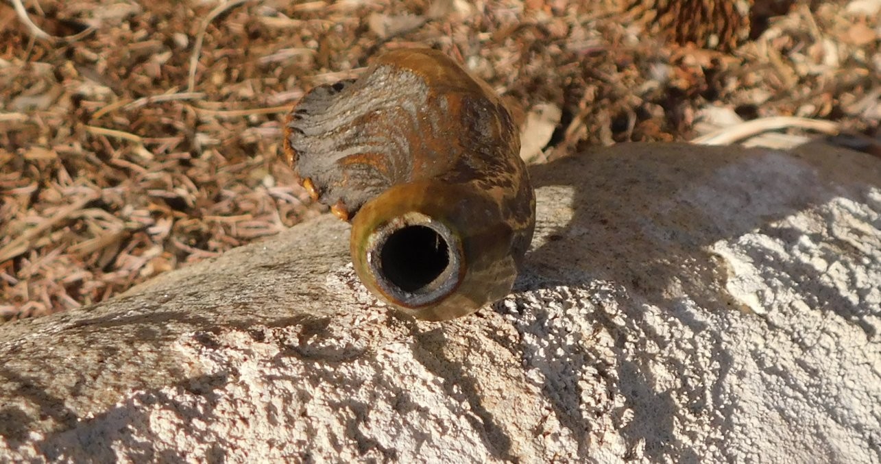 Fossilized Ice Age Deer antler in remarkable condition
