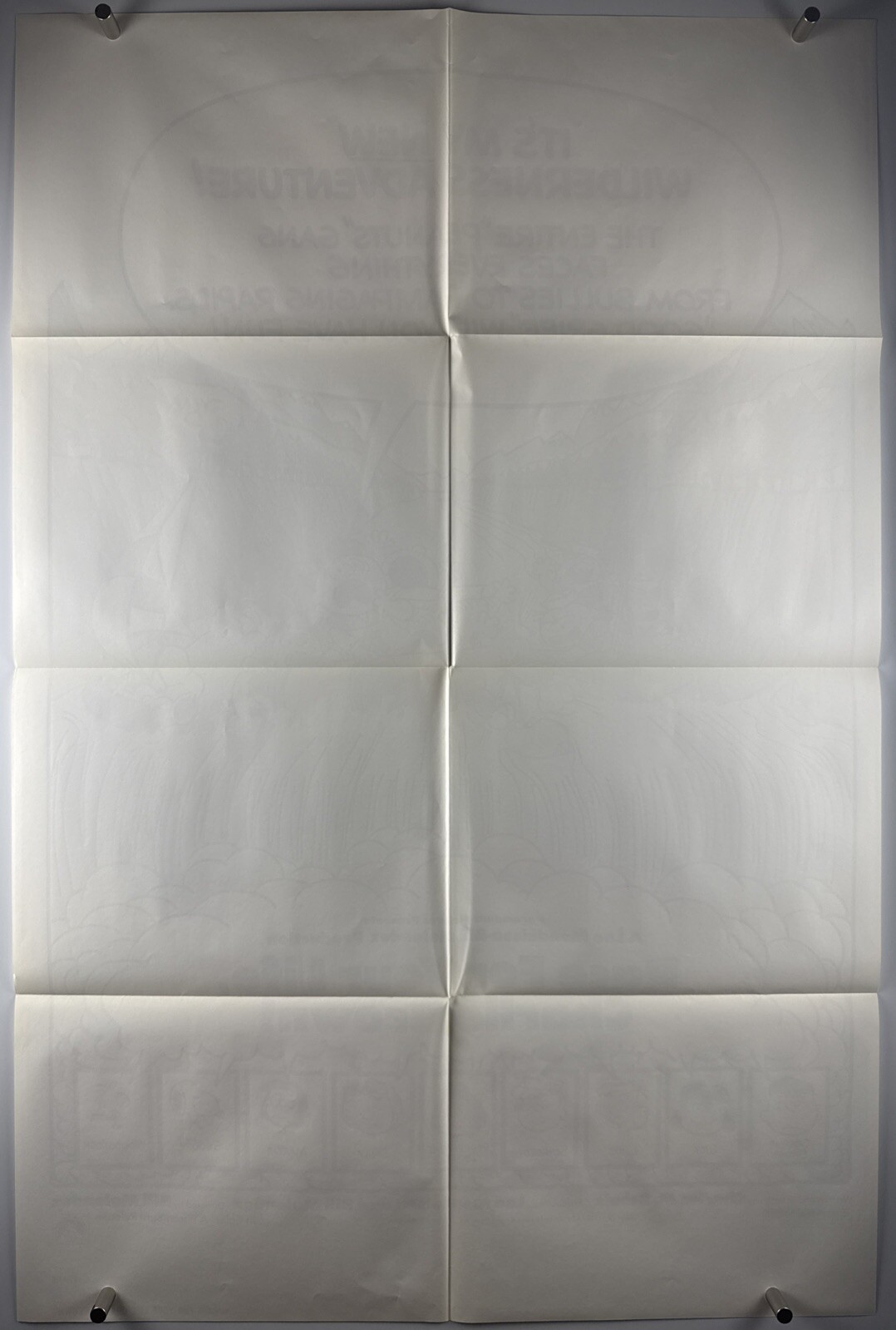 CHARLIE BROWN RACE FOR YOUR LIFE Movie Poster (VeryFine-) One Sheet 1977 24876