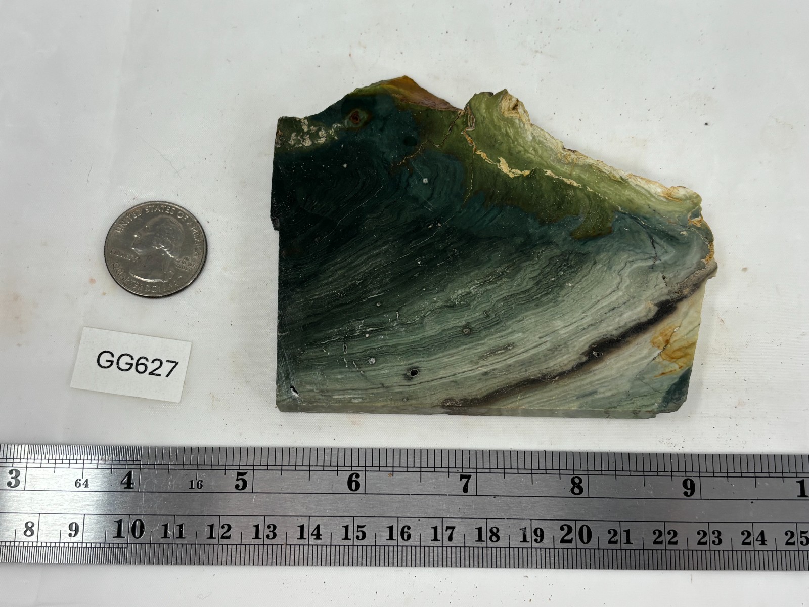 Gary Green Caldera Freedom Jasper Slab Cabbing Lapidary Combo Ship Avail