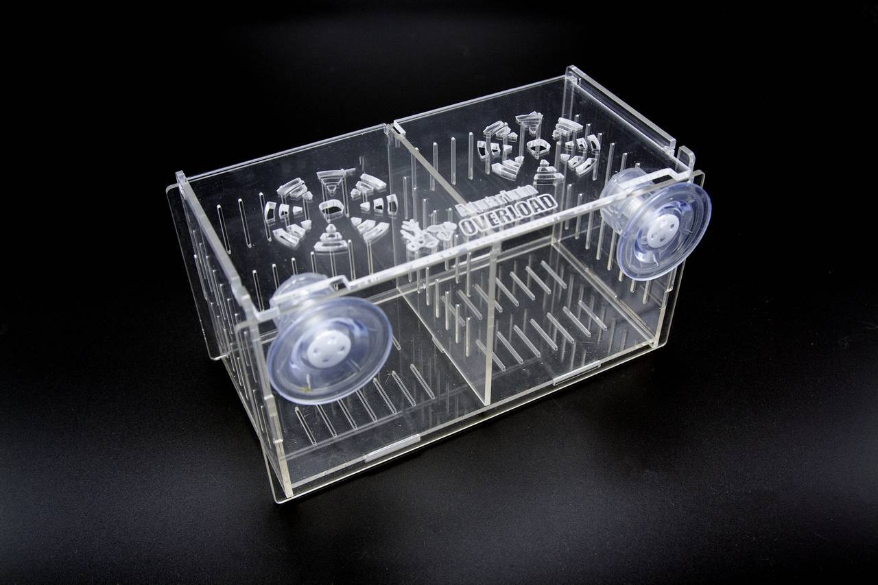 Aquarium Overload Clear Acclimation Breeder Mushroom Quarantine Box Free US Ship