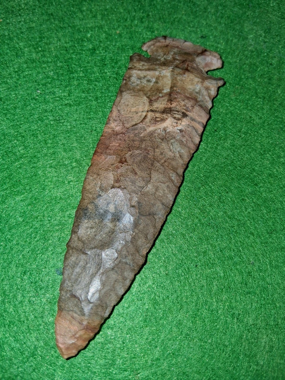 Dovetail  -Collectors Grade- Bennett COA Humphrey Co, Tennessee