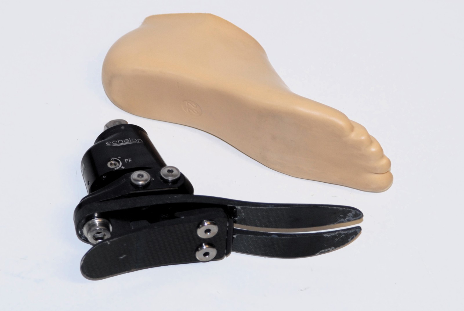 Blatchford Endolite Echelon foot size S 22 right prosthetic leg very good cond.