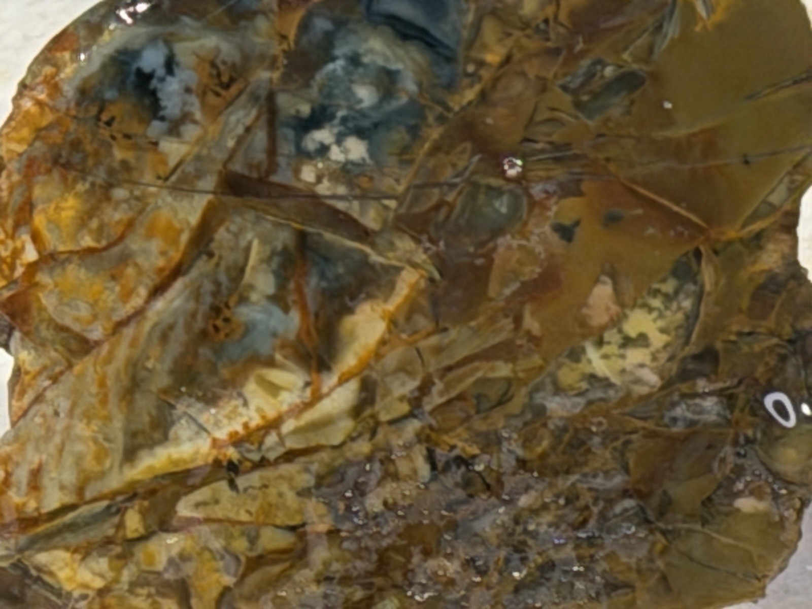 Morrisonite Jasper Slab Set , Lot#305