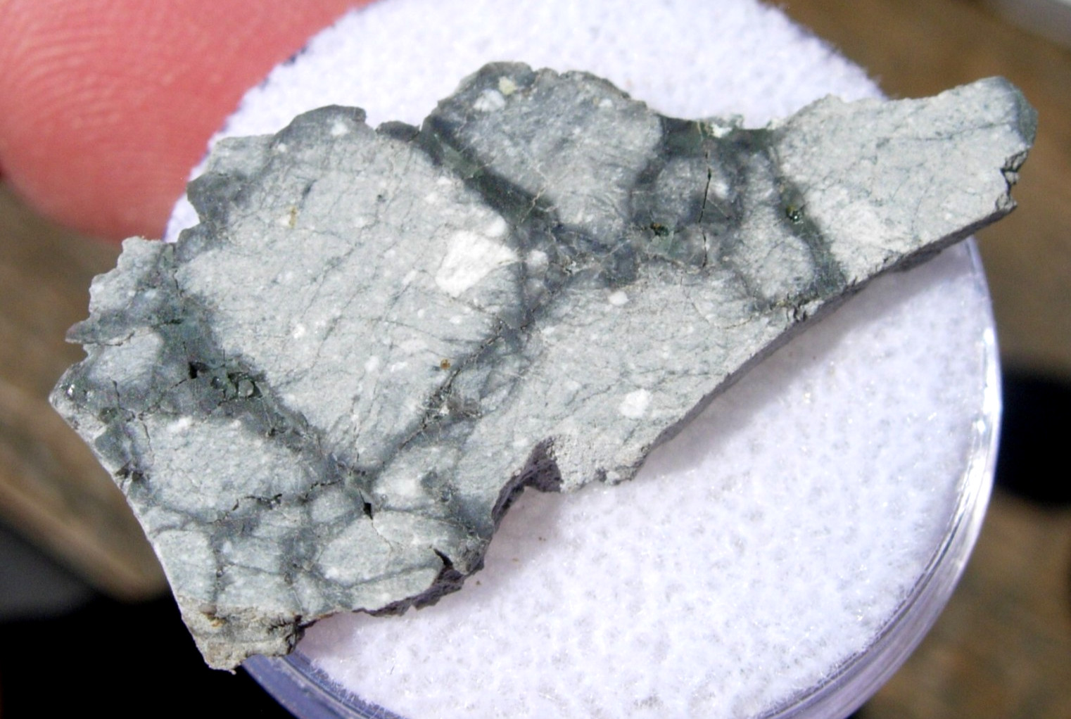 2.08 grams 31x14x3mm Gadamis 005 slice "Apollo 16 Lunar" Meteorite with a COA