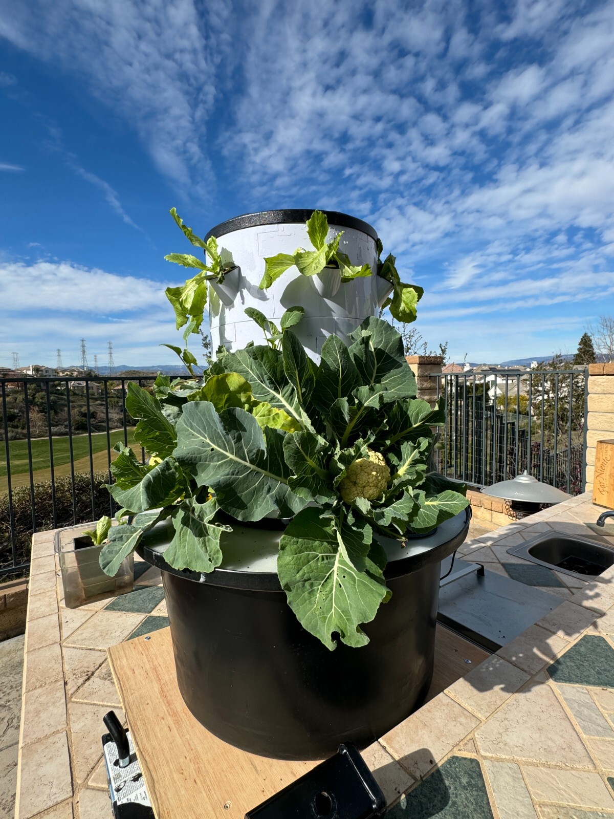 hydroponic vertical tower growing system-2025