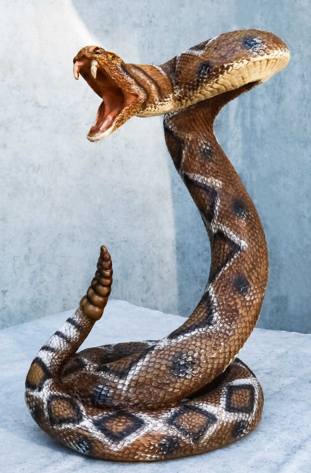 Realistic Attacking Coiled Diamondback Rattlesnake With Fangs Bared Figurine