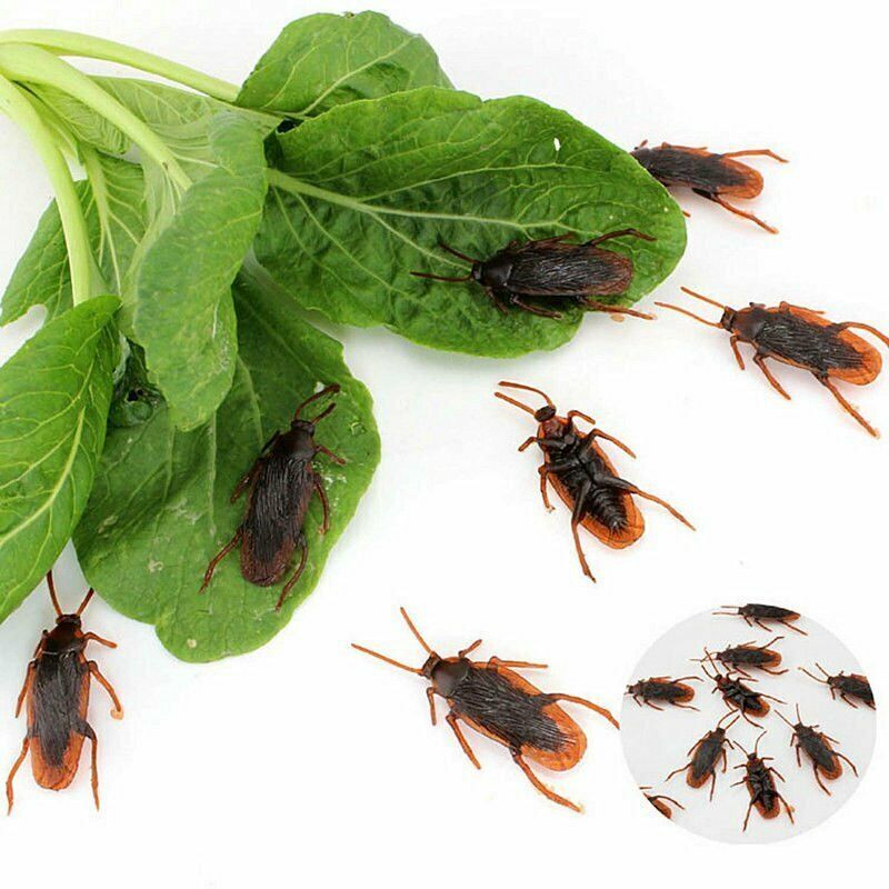 10 Prank Fake Roaches Plastic Cockroaches Creepy Roach Bugs Party Game Toy Gifts