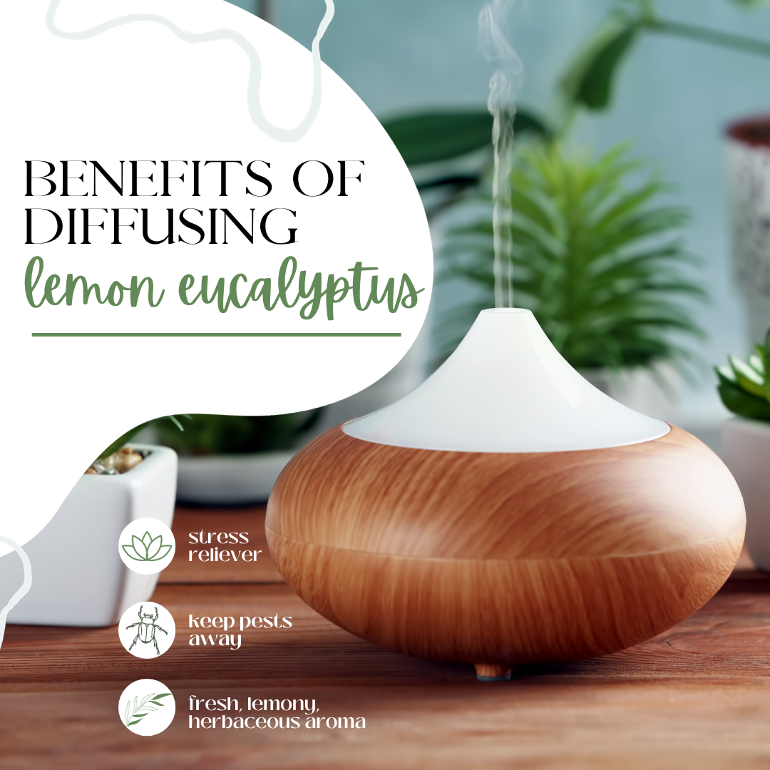 Lemon Eucalyptus Essential Oil 100% Pure Free Shipping Many Sizes