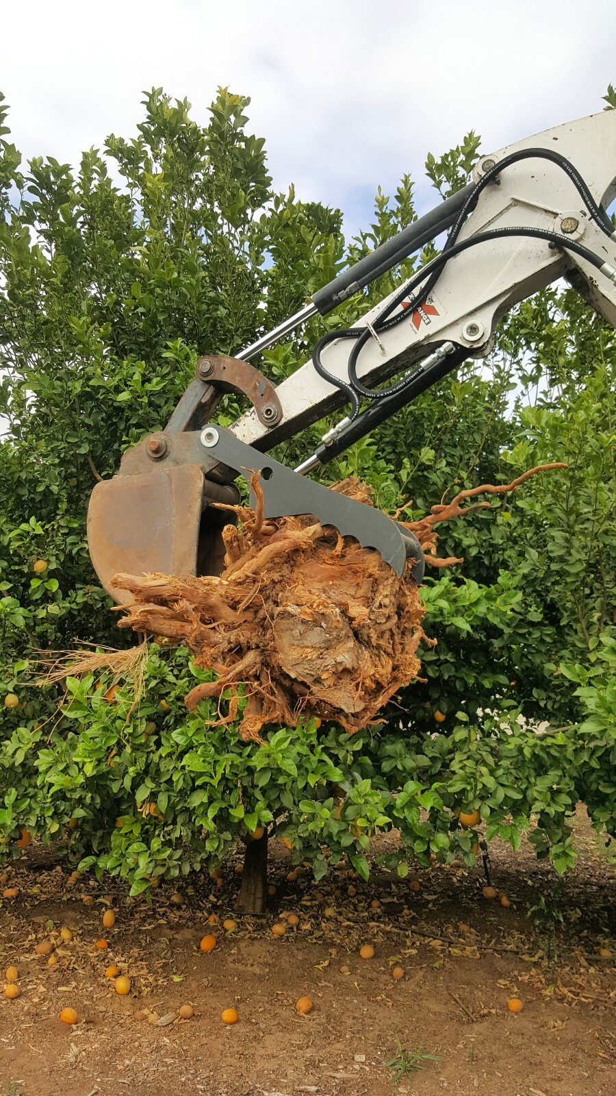 BOBCAT E32/E35 E26 THUMB HYDRAULIC CLAW EXCAVATORS ATTACHMENT KIT