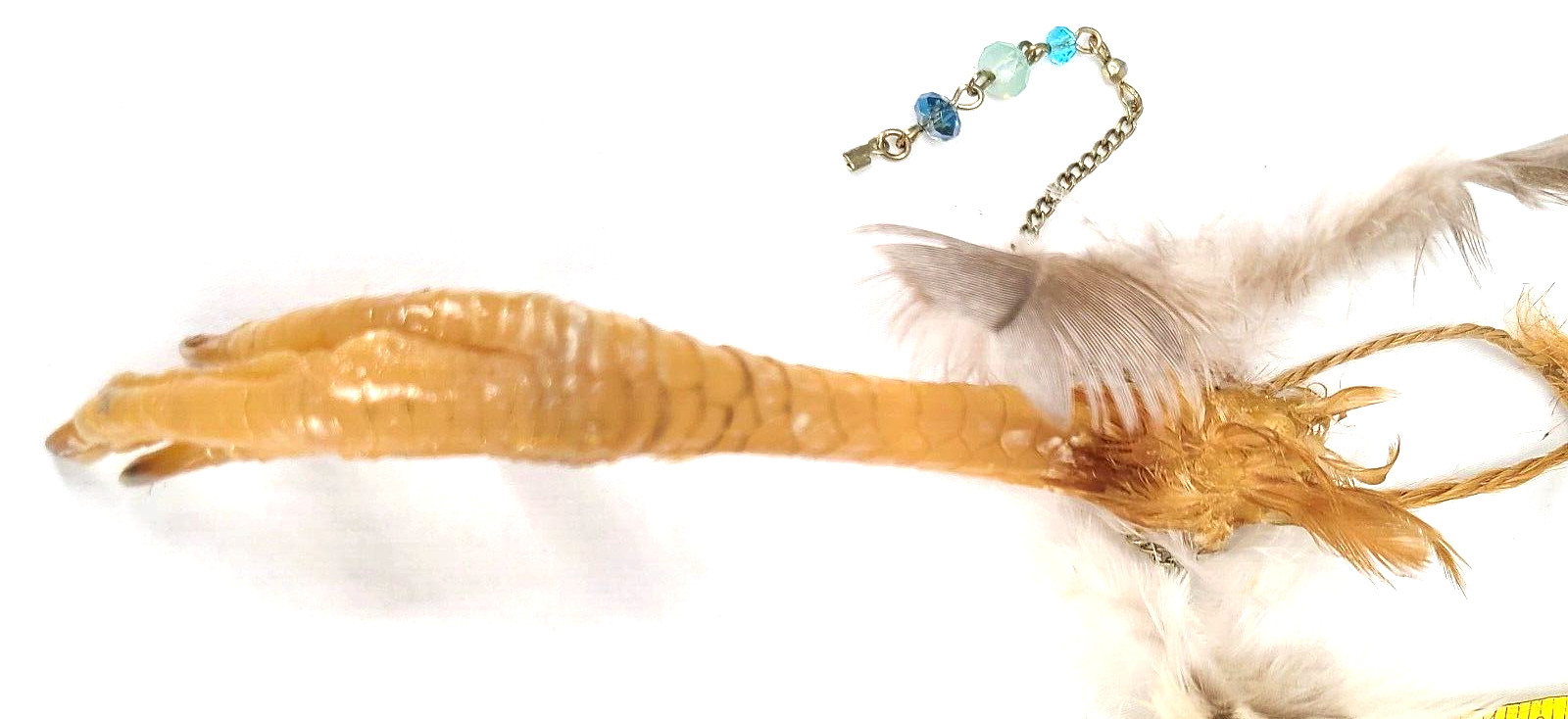 Good Luck Charm Lucky Charm Chicken Foot Voodoo Protection Occult Items Oddity