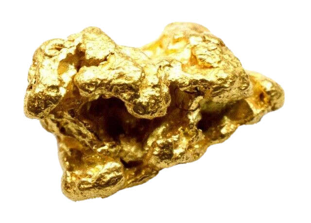 .450+ GRAMS ALASKAN YUKON BC NATURAL PURE GOLD NUGGET HAND PICKED (#G450+)