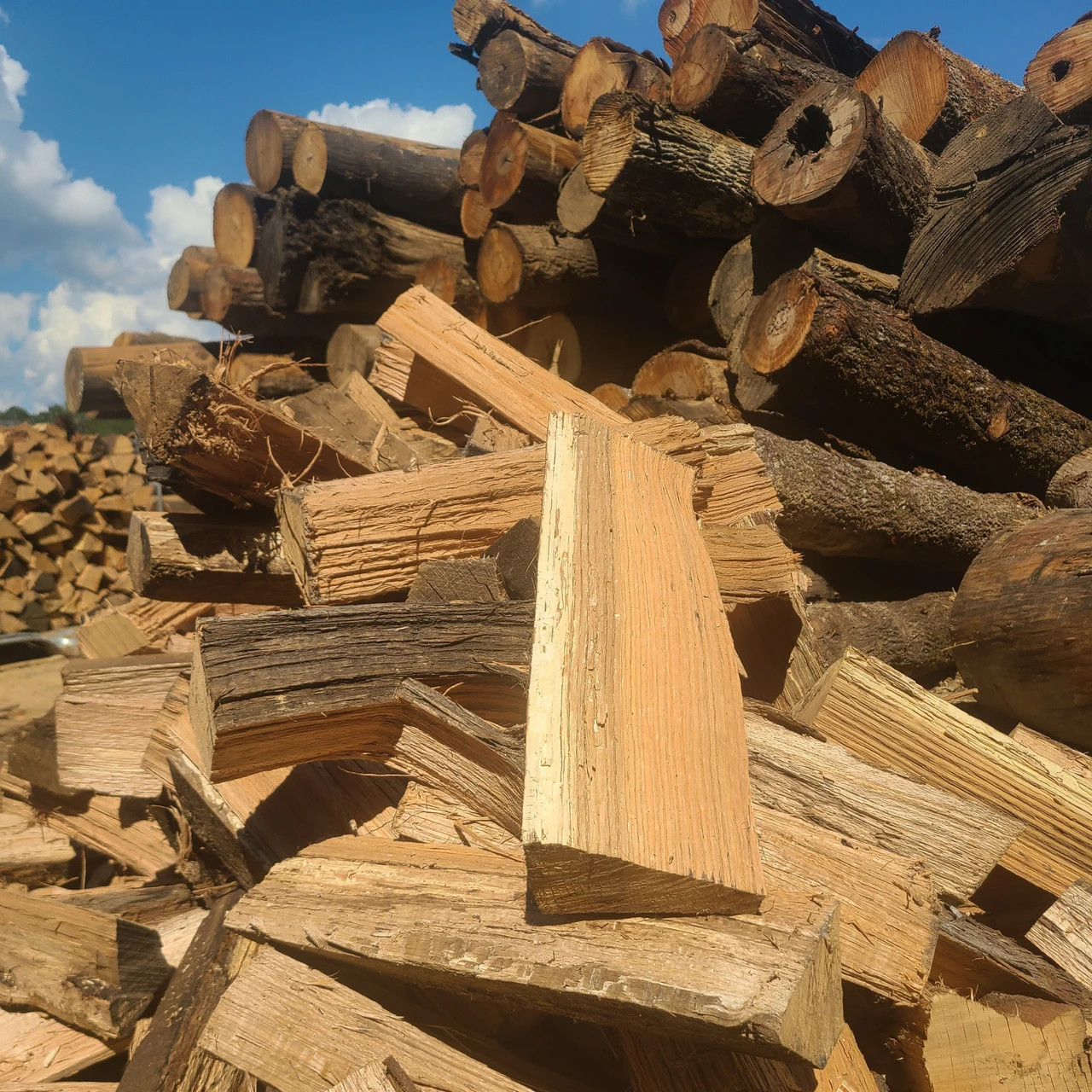 Mini Premium Oak Firewood - 15 Lbs - Kiln Dried - 5" long. - FREE SHIPPING