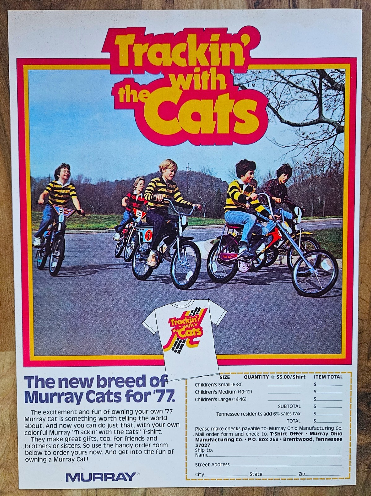 VINTAGE 1977 MURRAY CAT STINGRAY BICYCLE ADVERTISEMENT