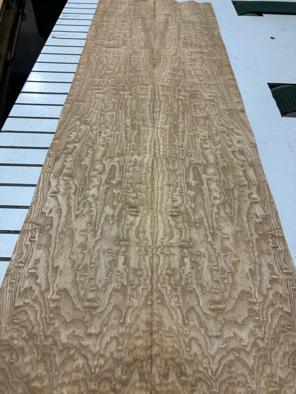 Tamo Ash Raw Wood Veneer 2 sheets 51'' x 8'' 319W