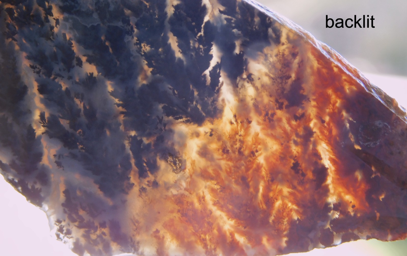 Woodward Ranch Plume Agate lapidary cabbing slab from Texas 4mm thick