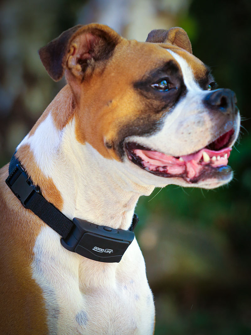 BarkWise™ Complete: Ultrasonic, Vibration & Remote Control Bark Control Collar