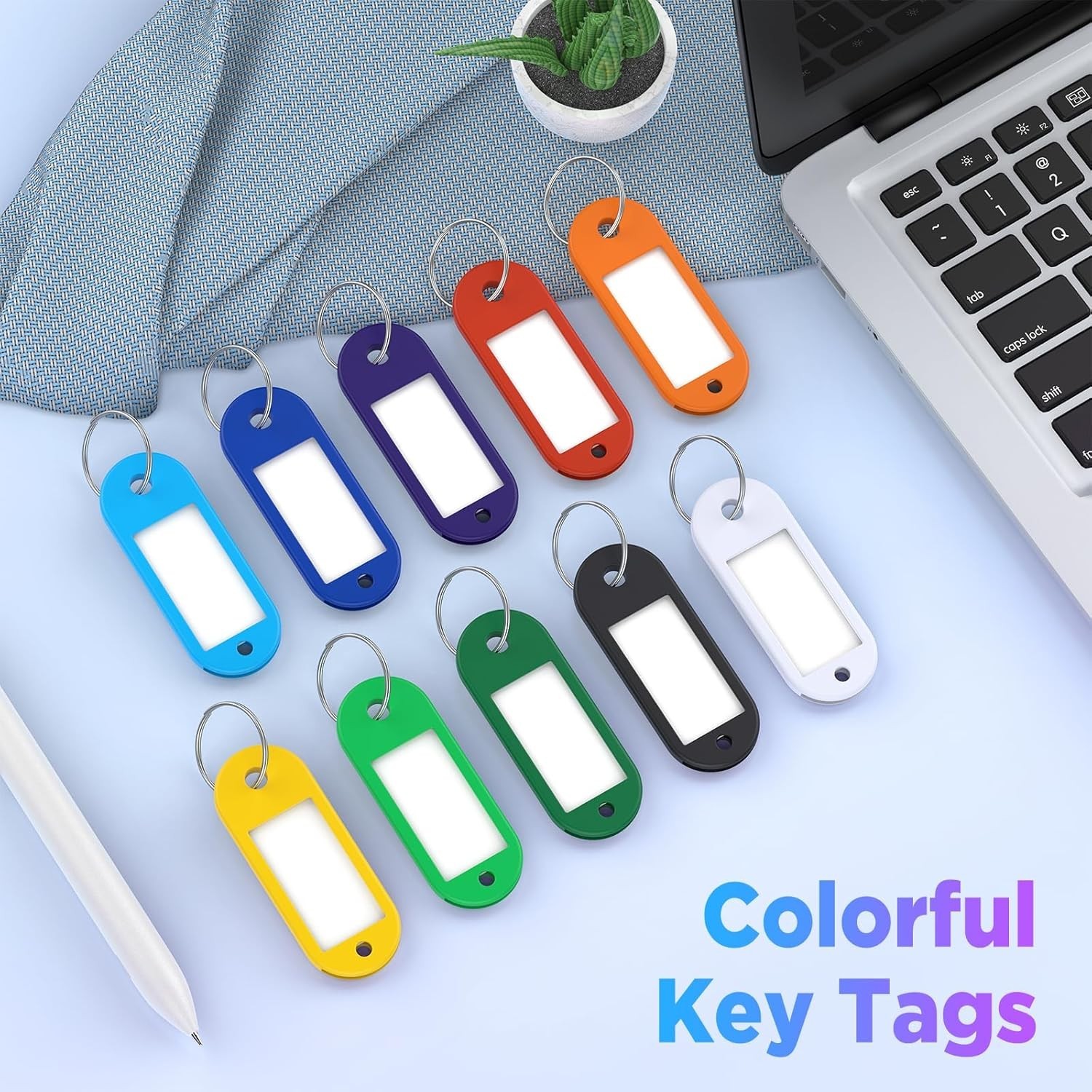 58 Pack Plastic Key Tags, Flexible Key Labels with Split Ring Label Window, Key