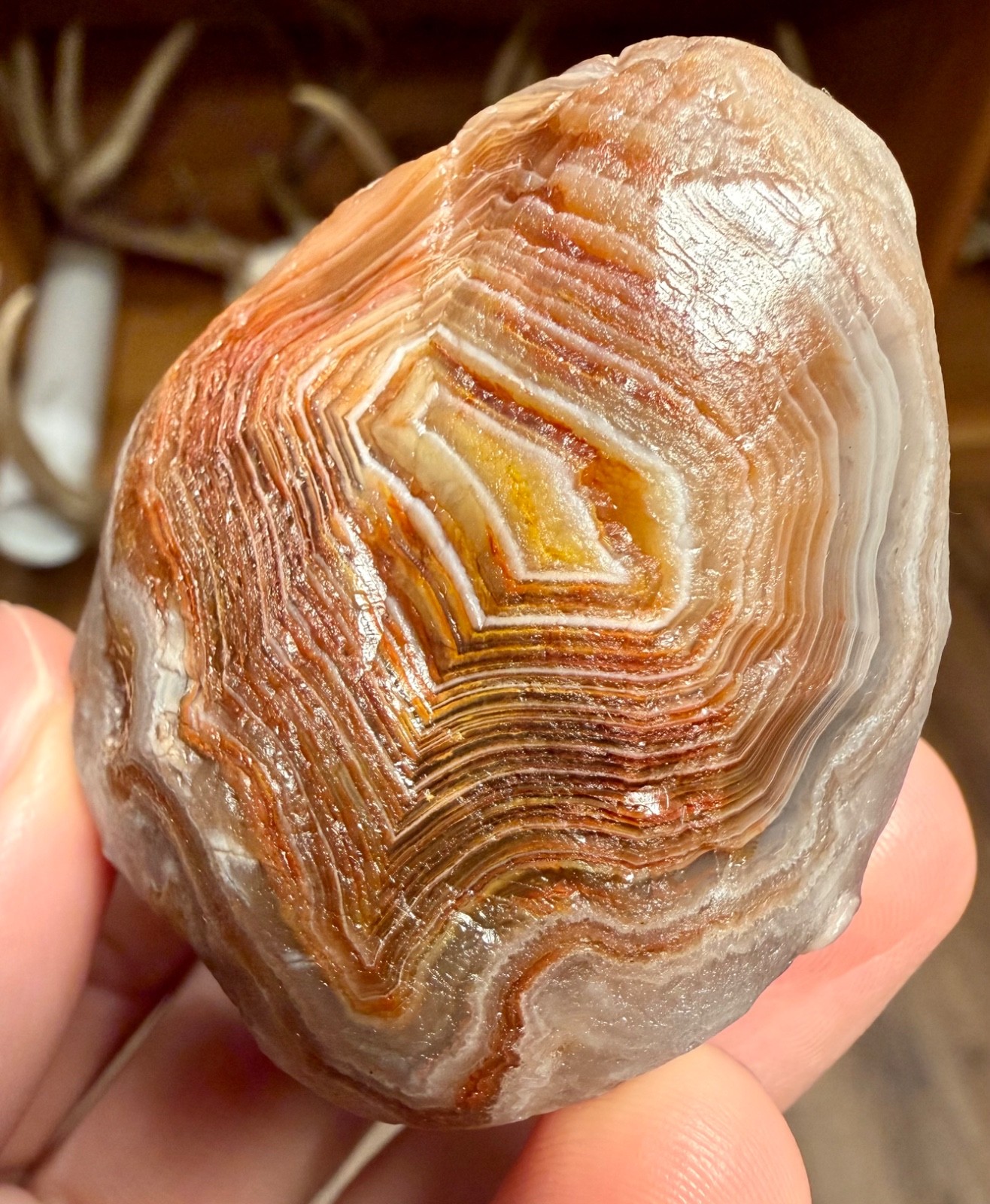 4.55oz LAKE SUPERIOR AGATE 2 GREAT FIRE & ICE COLORED BANDED FACES NEAT