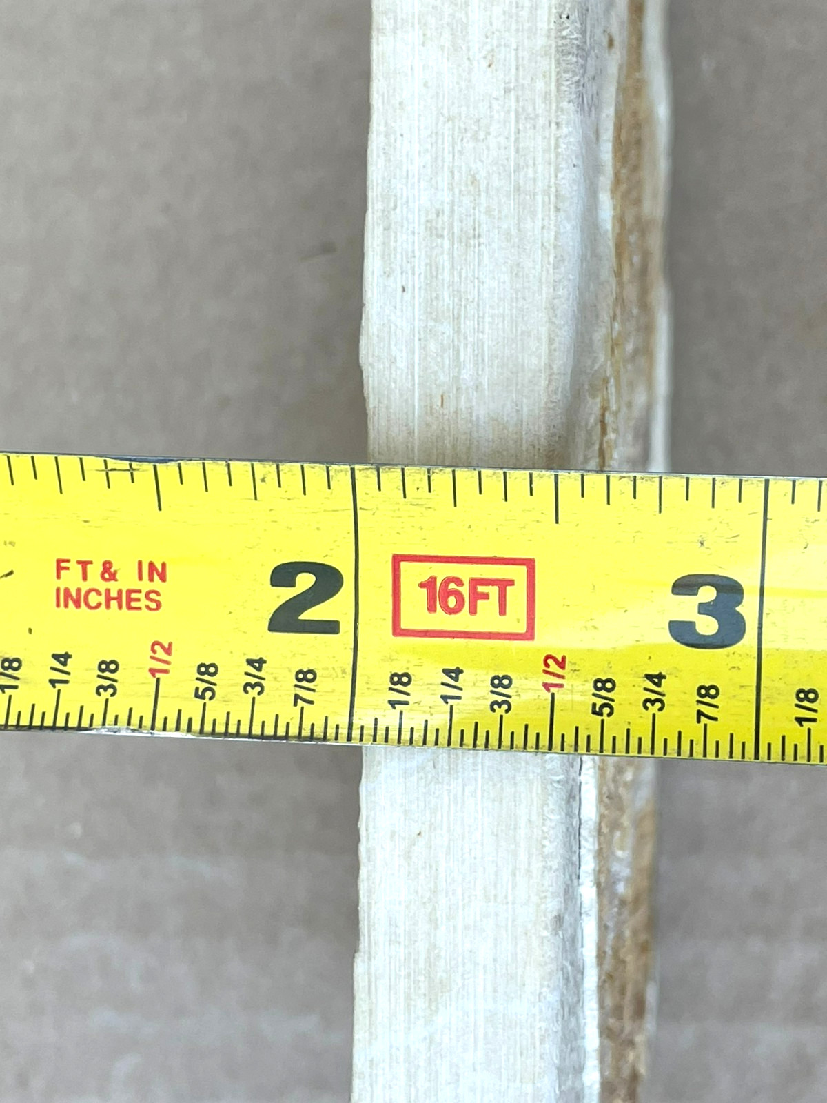 Fossil Fish Plate Natural Formation