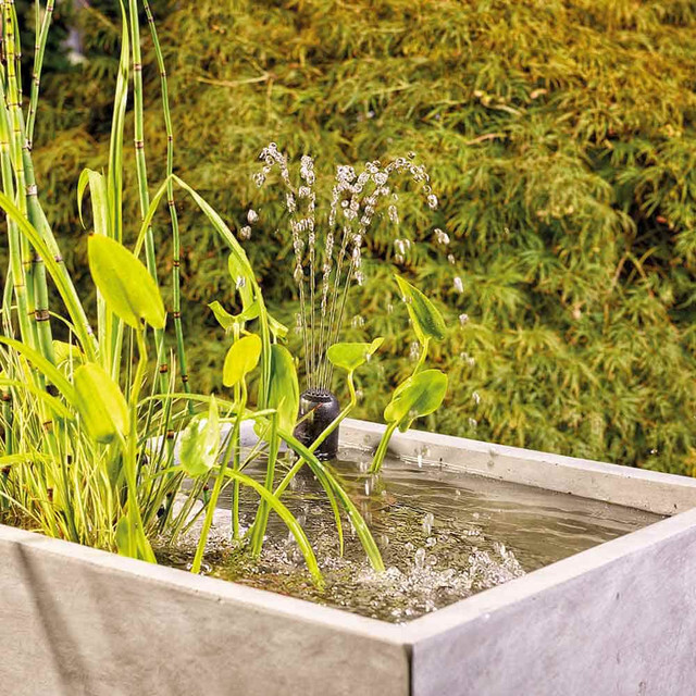 Oase Filtral UVC 1600 with Pump 76006