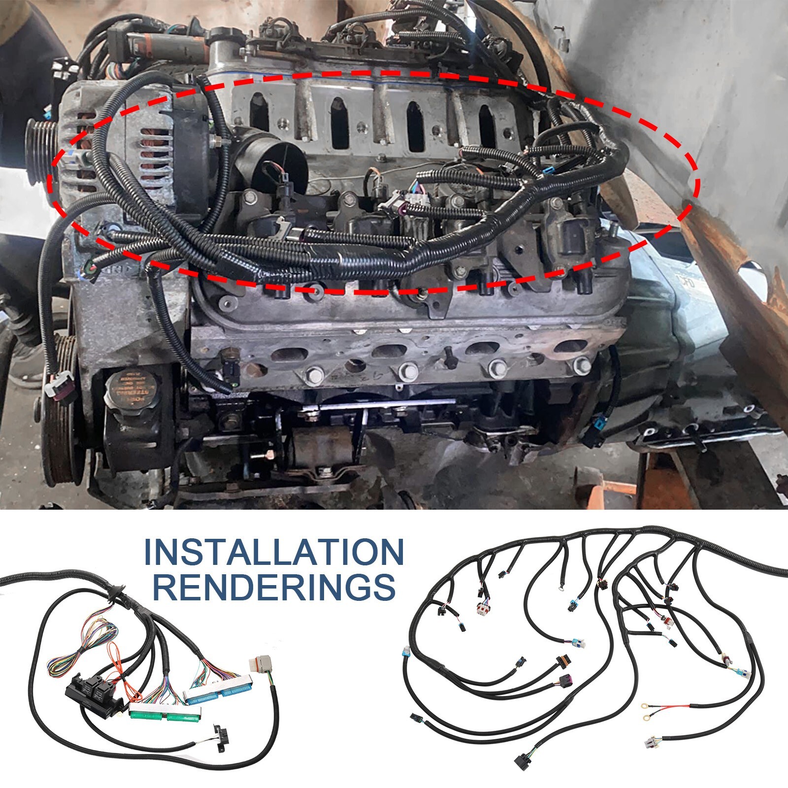 T56 Stand alone Wire Harness Drive by Wire LS LS3 Vortec 03-07 4.8 5.3 6.0 DBW