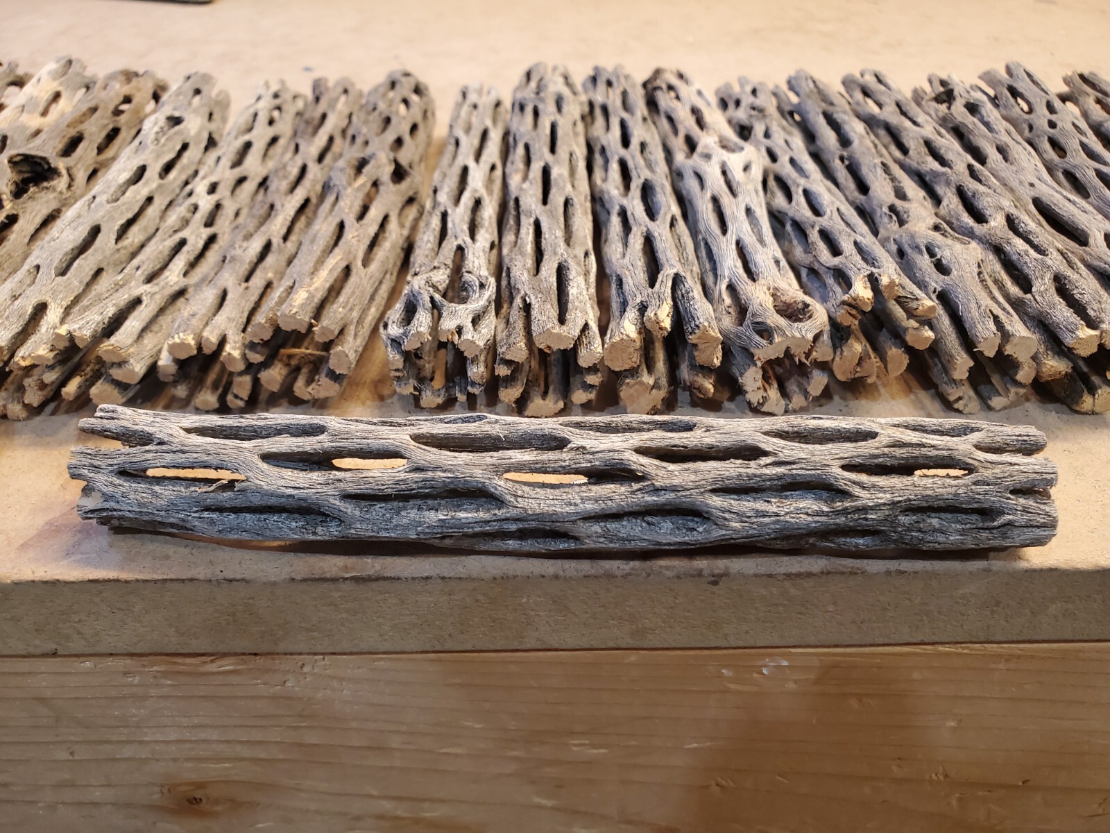 20 pcs 6" inch CHOLLA Wood Cactus | ORGANIC, Untreated | Shrimp Aquarium CRAFTS!