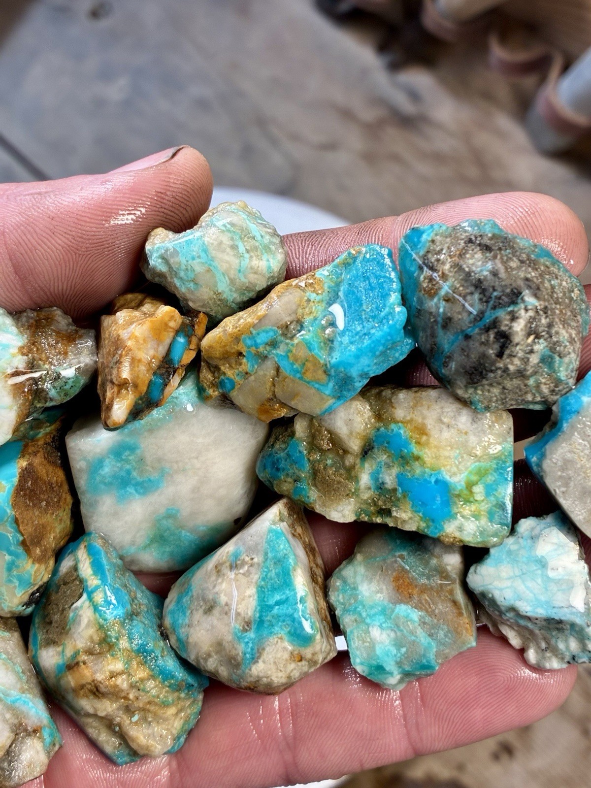 1 Lb of Skinny Turquoise Mountain Nugs! Now Available Again! ￼