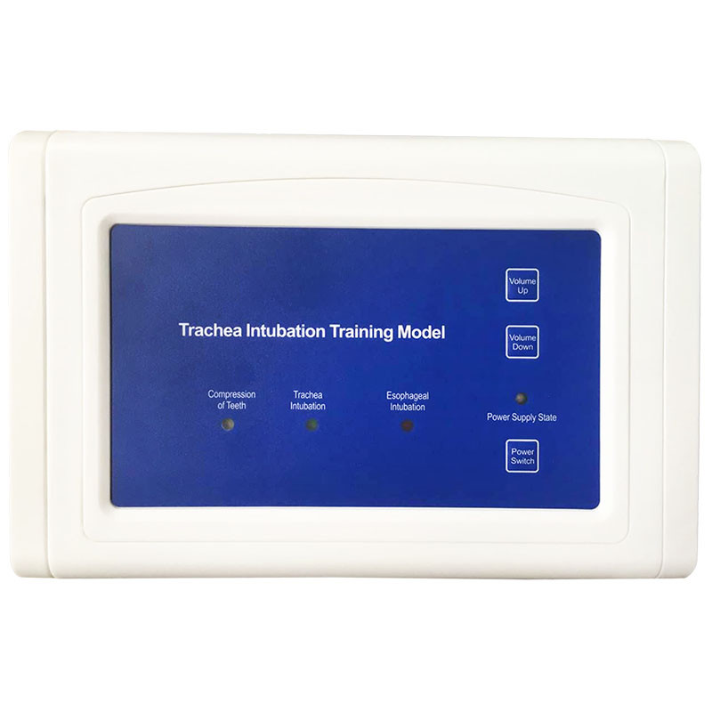 Airway Management Model, Healthcare Training Airway Manikin Patient Simulators