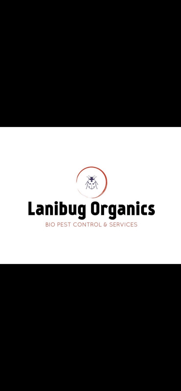 1 Carolina Praying Mantis Egg Case