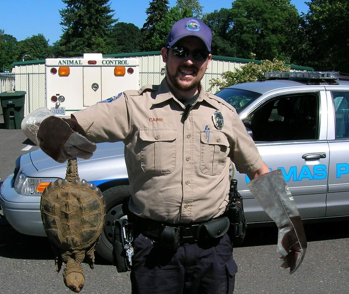 Animal Handling Gloves Bite Proof Double Leather Reinforced Padding Dog,Cat Scra