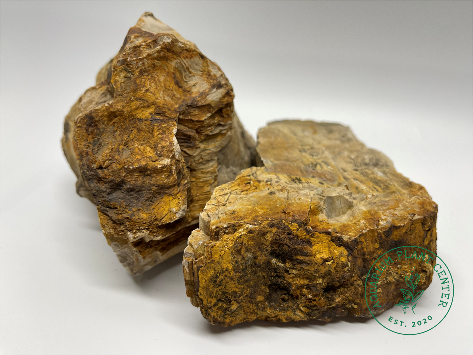 Petrified Wood Stone / Planted Aquarium / Decoration / Hardscape / Aquarium