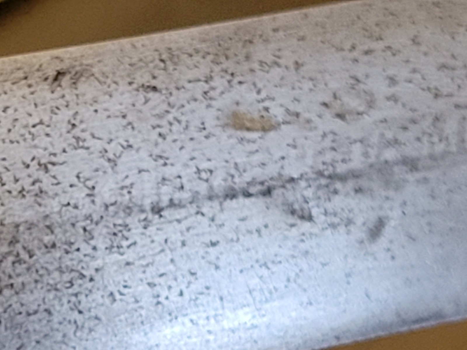 EXCELLENT WWI German Police Sword & Sheath