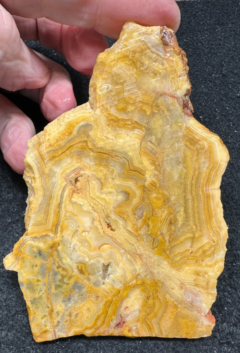Yellow Crazy Lace Agate unfinished slab, great for cabbing 2.99oz (#1057)