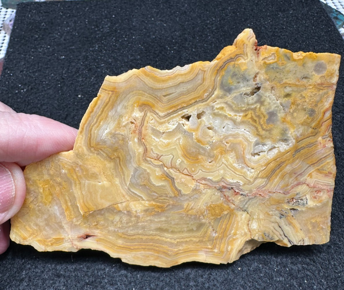 Yellow Crazy Lace Agate unfinished slab, great for cabbing 2.99oz (#1057)