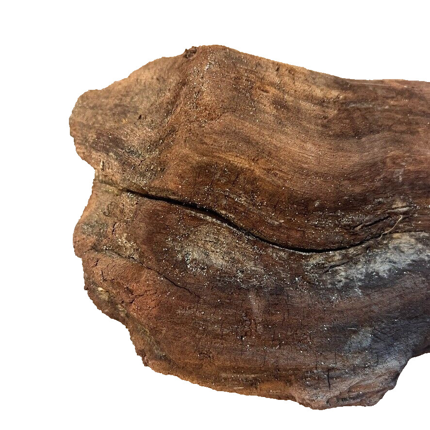 18" x 5" Redwood Driftwood Organic Craft Aquarium Rustic Boho Natural Wood