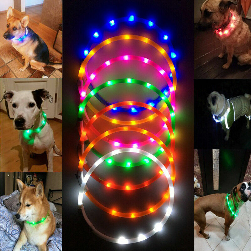 DOT RECHARGEABLE DOTTED LED PET GLOW COLLAR adjustable flash light-up FOR dog