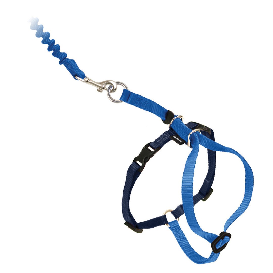 PetSafe COME WITH ME KITTY Cat Harness and Bungee Leash Blue Large