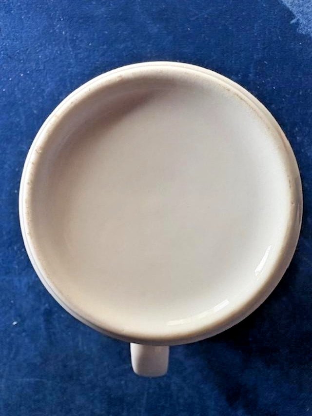 Vtg 1988 Limerick Nuclear Generating Station "Open House" Staff Vol. MUG - 3.5"