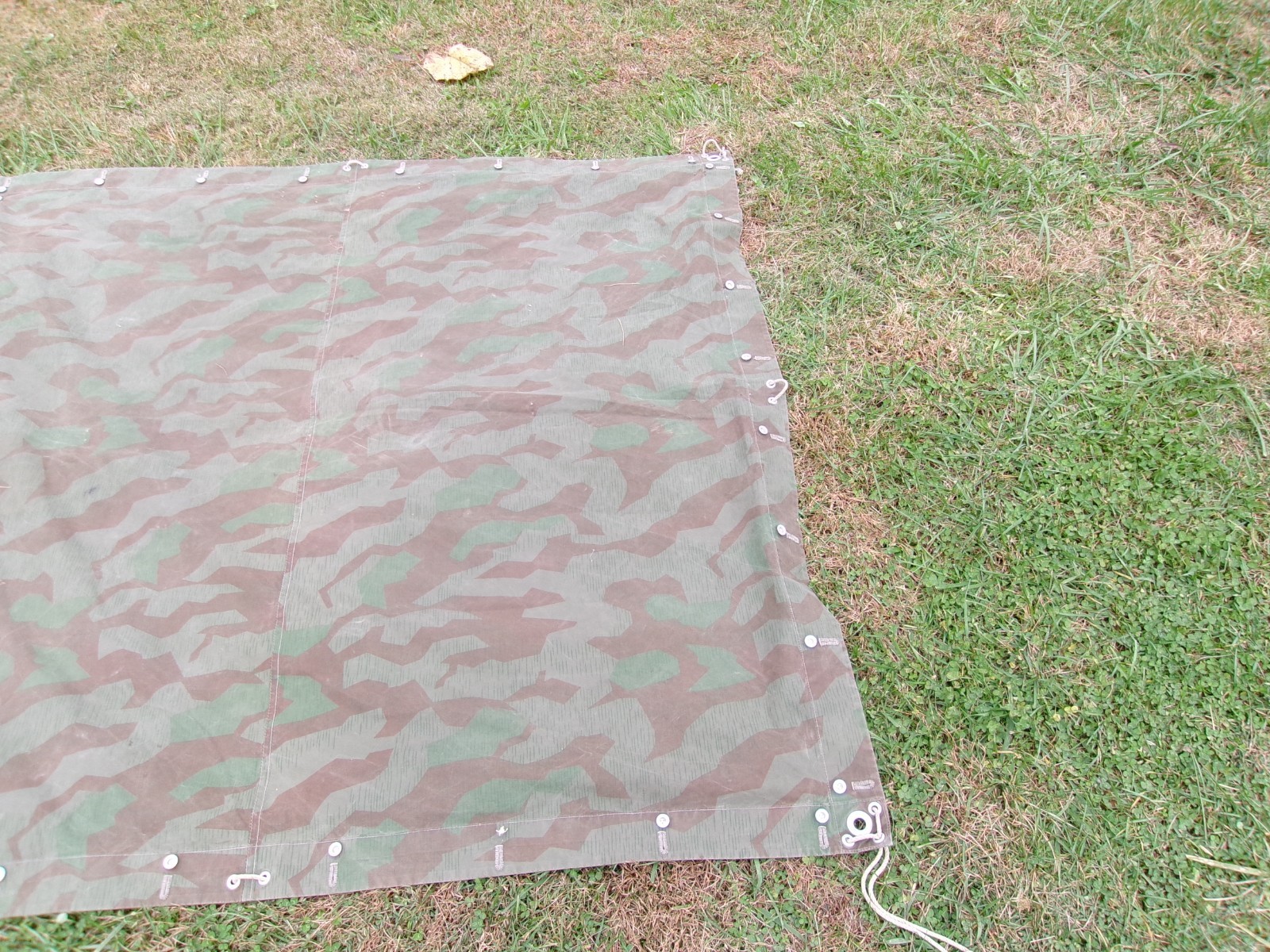 WW2 Swiss M31 Splittertarnmuster Tent - 2 Halves, Poles and Stakes