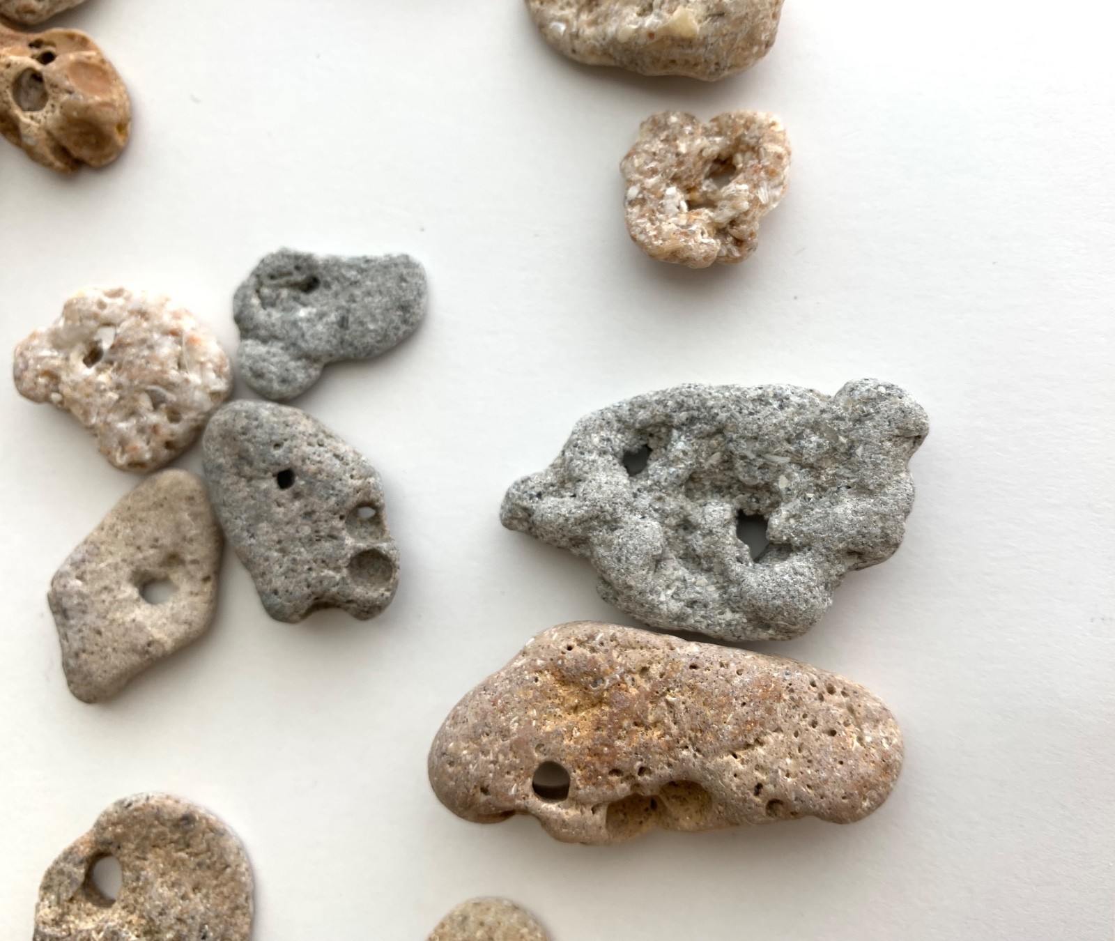 35 Adder Holey Beach Rocks Hag Stones Fairy Lucky Wish Magic Natural 1" #B1 US❤️