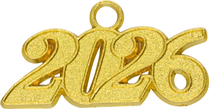 2026 Shiny Graduation Cap and Gown with Tassel by Grads4Good