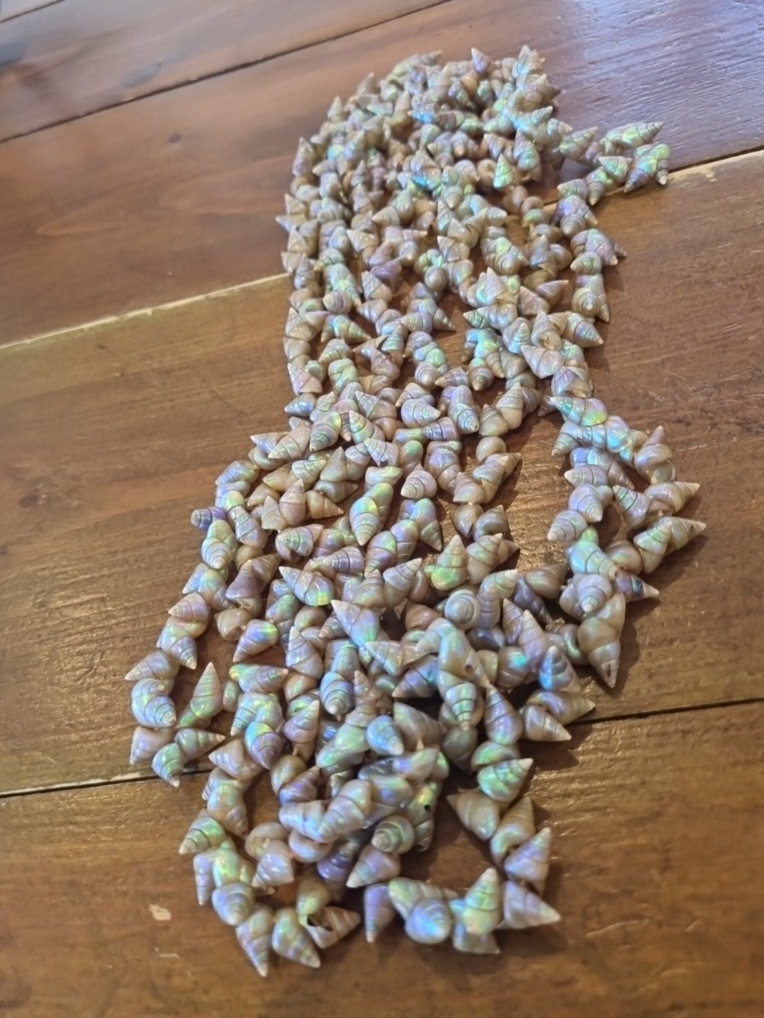 SUPERB VINTAGE TASMANIAN ABORIGINAL MAIREENER SHELL NECKLACE LONG 123cms 1930s