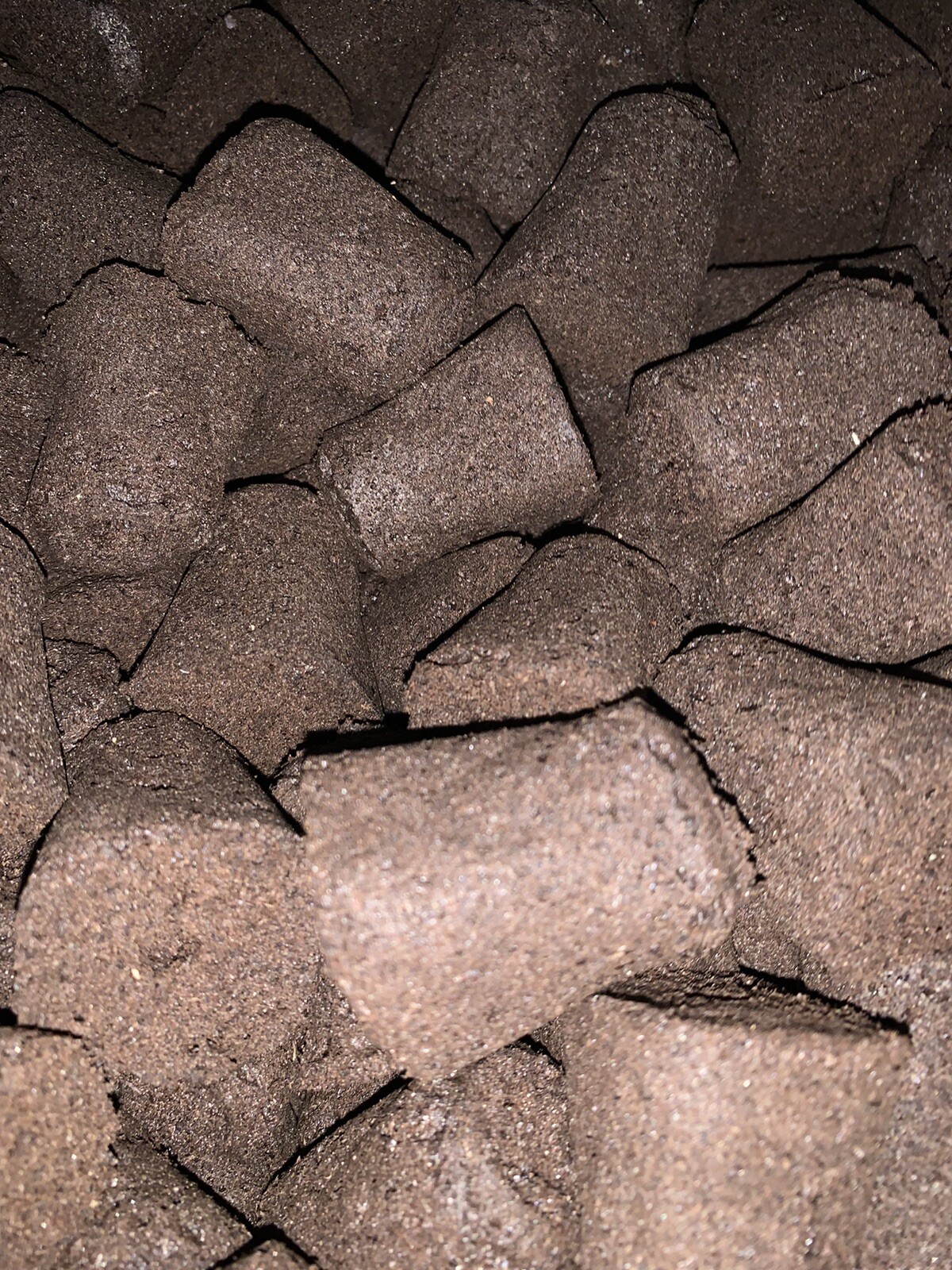 10 General Hydroponics Rapid Rooter Plugs For Fast Root Growth 10 Count GH