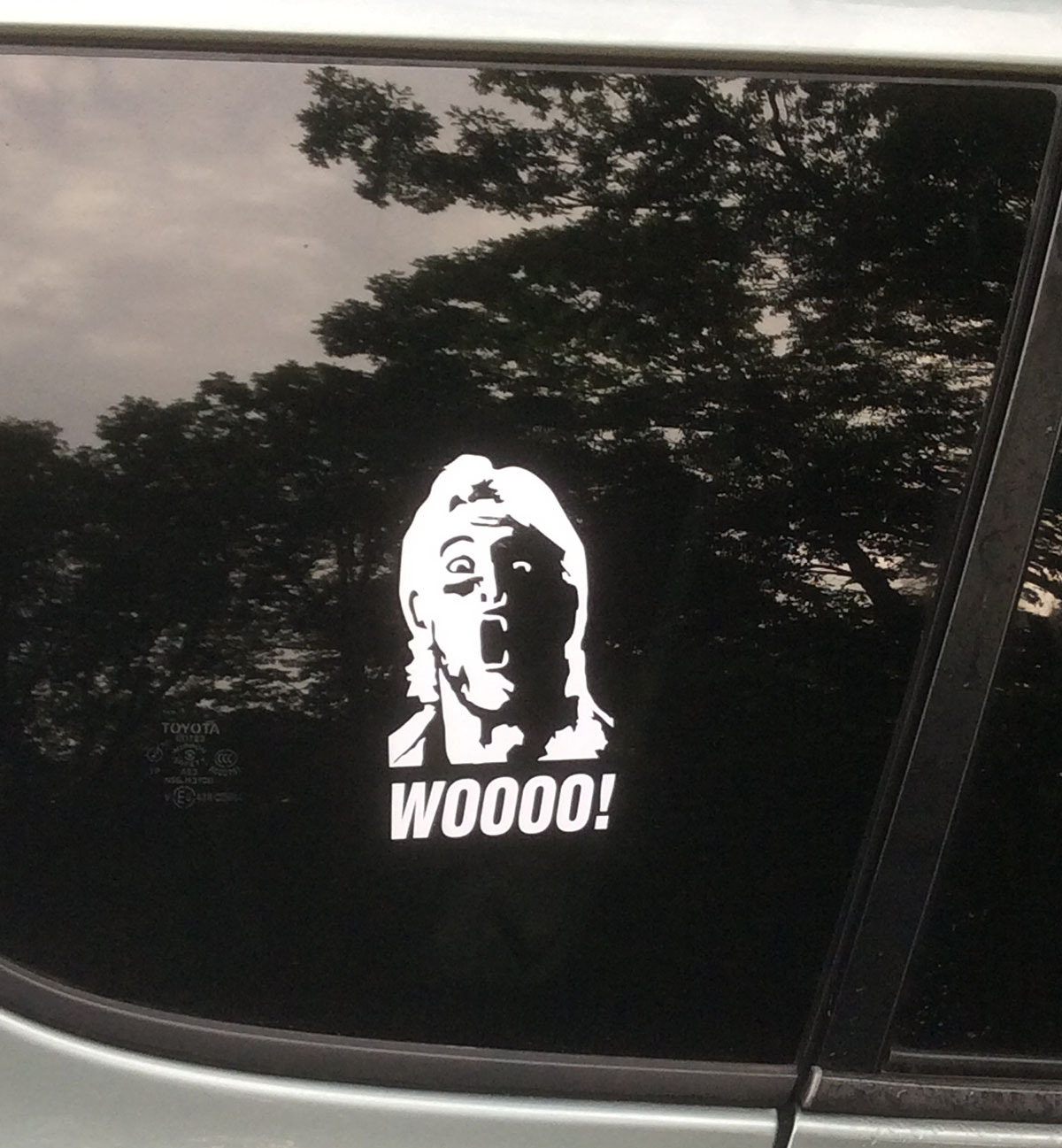 Ric Flair - WOOO! - Precision-cut Vinyl Decal / Sticker NOT PRINTED B-66