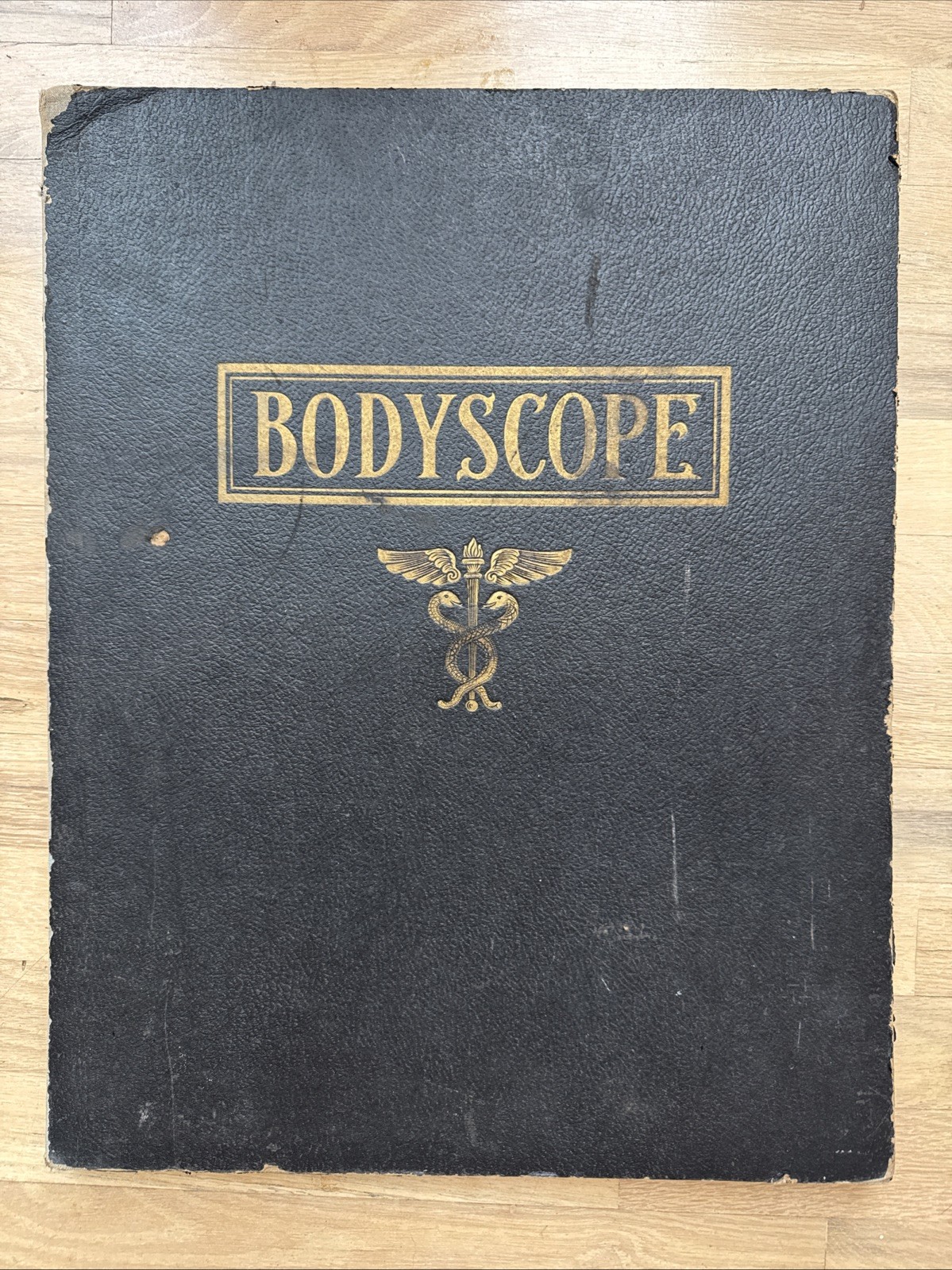 Bodyscope by Ralph H. Segal Human Anatomy Medical Chart and Case 1948 Flaws