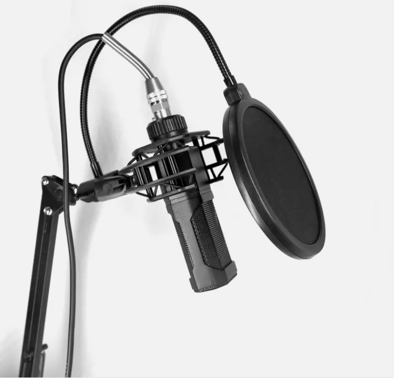 Double Layer φ5" Microphone Wind Screen Mask Pop Filter for Recording Studio